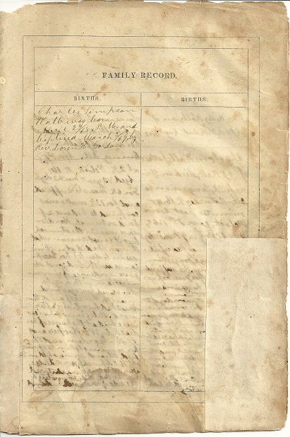 Kalb Genealogy